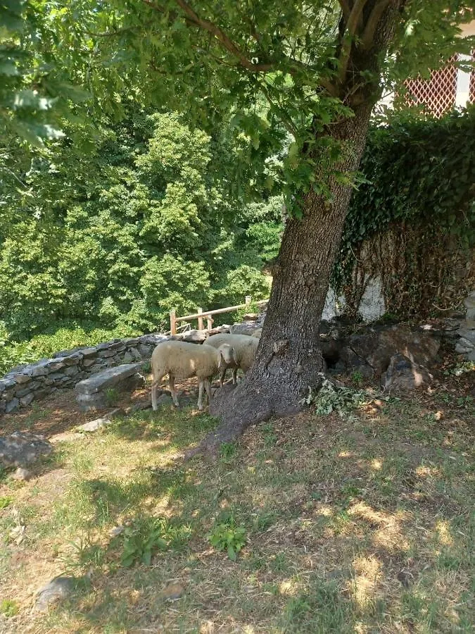 Open Cascina Villa Colico 0*,