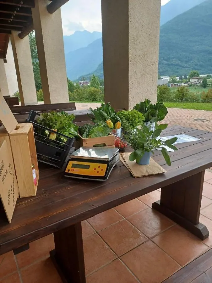 Farm stay Open Cascina Villa Colico